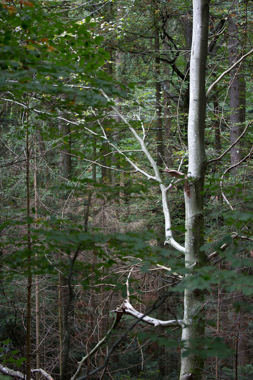 20231014100727 3K6A2243